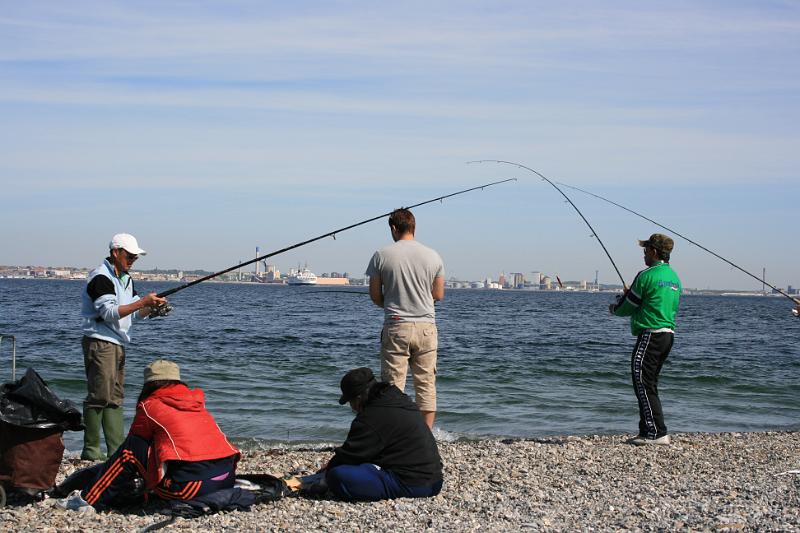 Fish at kronborg.jpg - Fisker hornfisk ved kronborg strand. Swerige i baggrunden. -- Fish Garfish on Kronborg beach. sweeden in background.